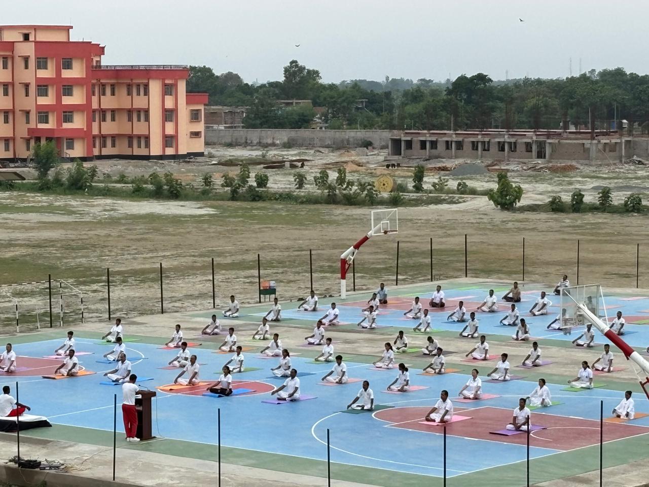 Volleyball